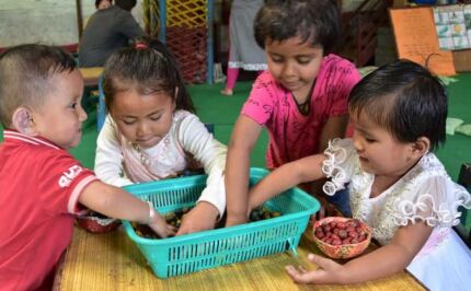ECD center Seto Gurans