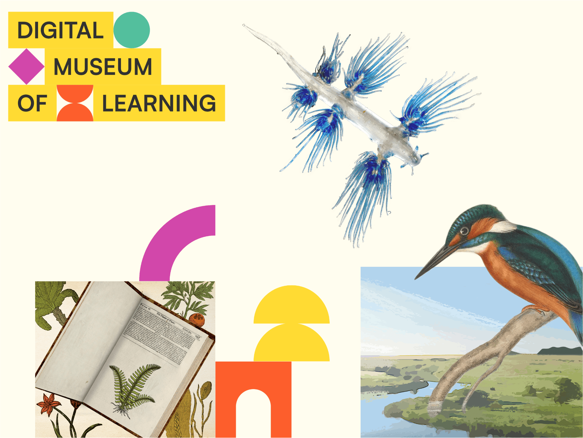 Digital Museum of Learning artwork